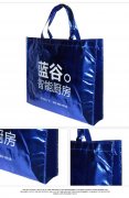無紡布腹膜袋執行國家什么標準？
