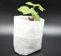 無紡布種植袋釘子多少錢一個？它的優缺點是什