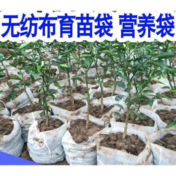 無紡布種植袋有毒嗎？