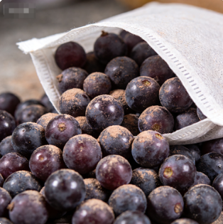 迷你無紡布冬棗草莓套袋 防裂果防灰霉病 沾化冬棗精品果專用