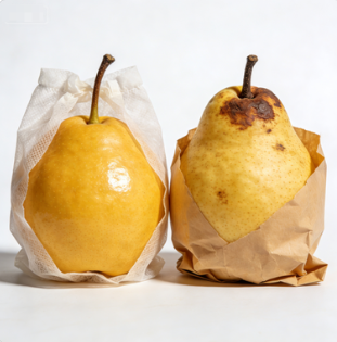 2026環(huán)保升級 全生物降解無紡布水果套袋 有機果園專用 可堆肥